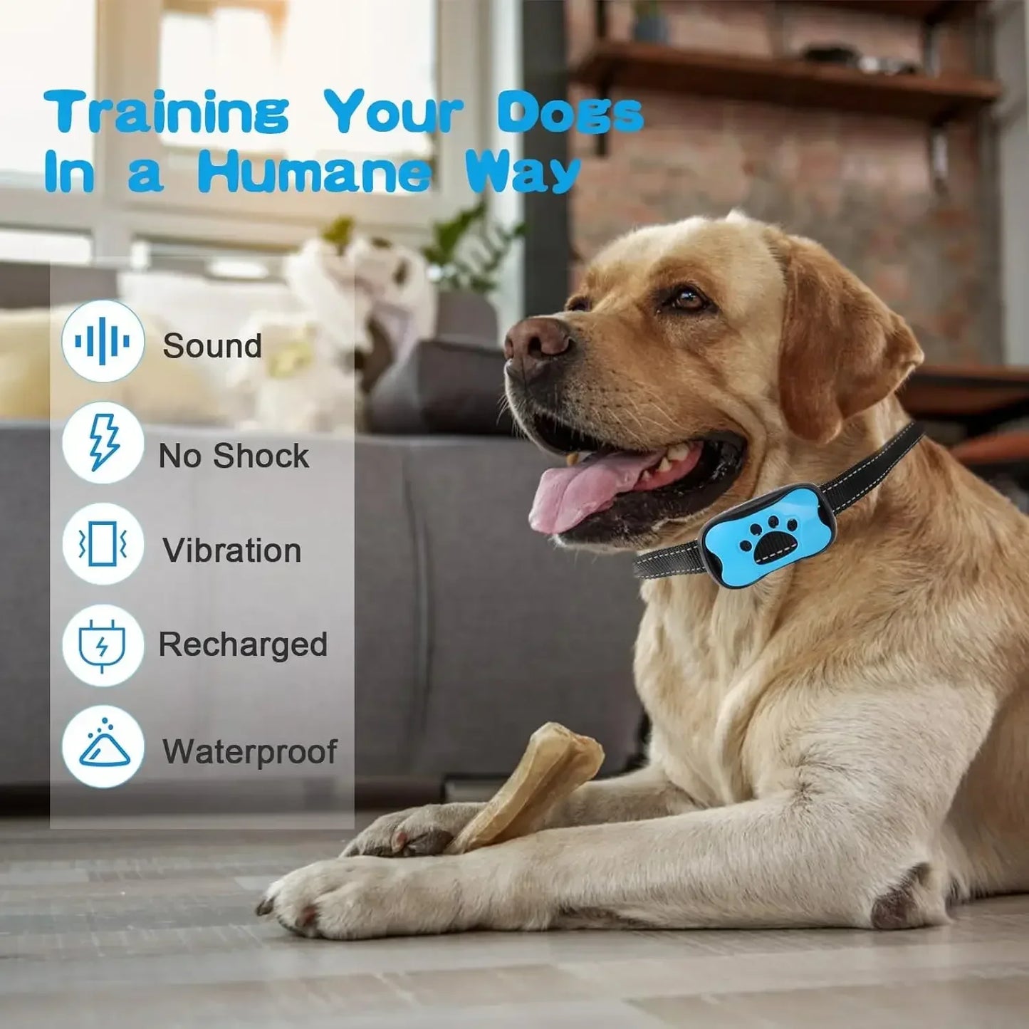 USB Rechargeable Ultrasonic Anti-Bark Dog Training Collar