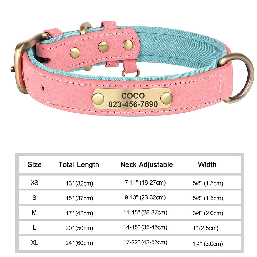 Personalized Leather Dog Collar – Soft Padded ID Nameplate with Free Engraving for Small, Medium & Large Dogs