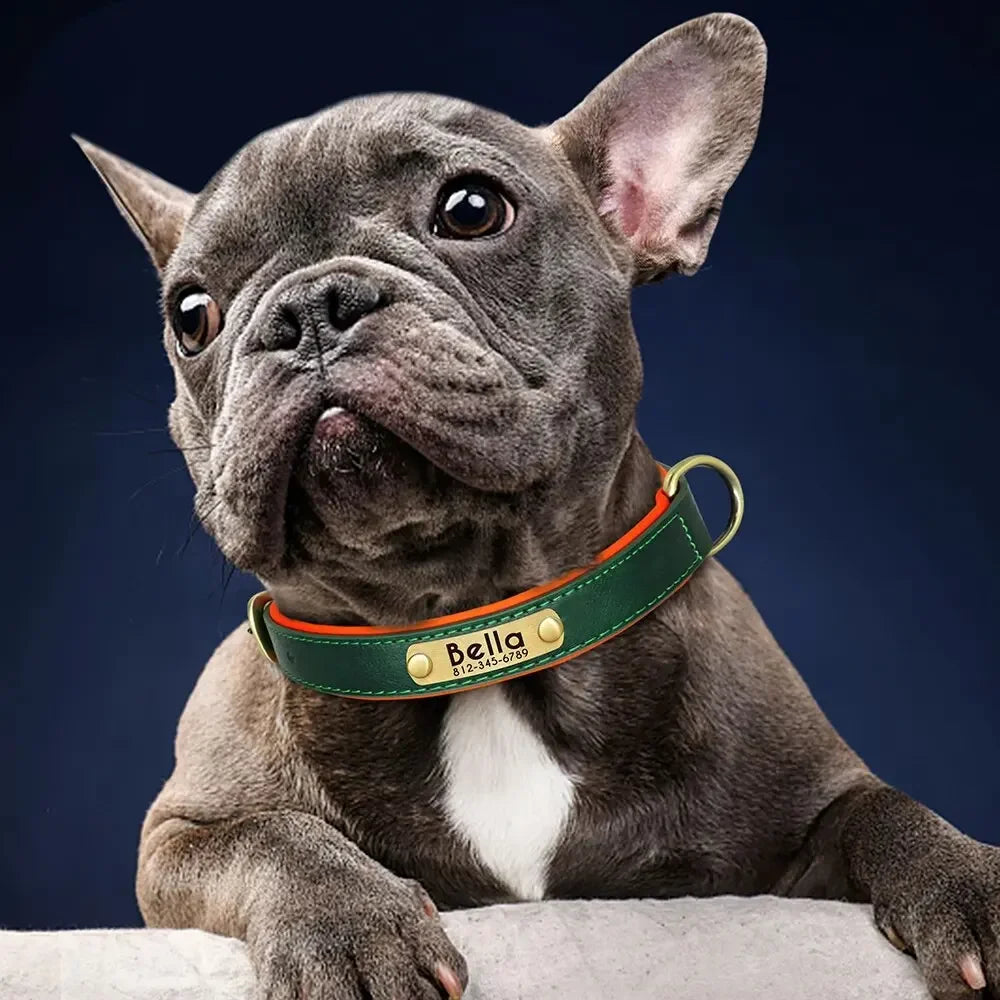 Personalized Leather Dog Collar – Soft Padded ID Nameplate with Free Engraving for Small, Medium & Large Dogs