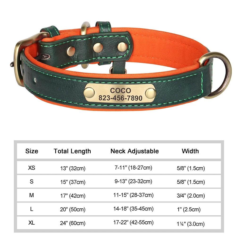 Personalized Leather Dog Collar – Soft Padded ID Nameplate with Free Engraving for Small, Medium & Large Dogs