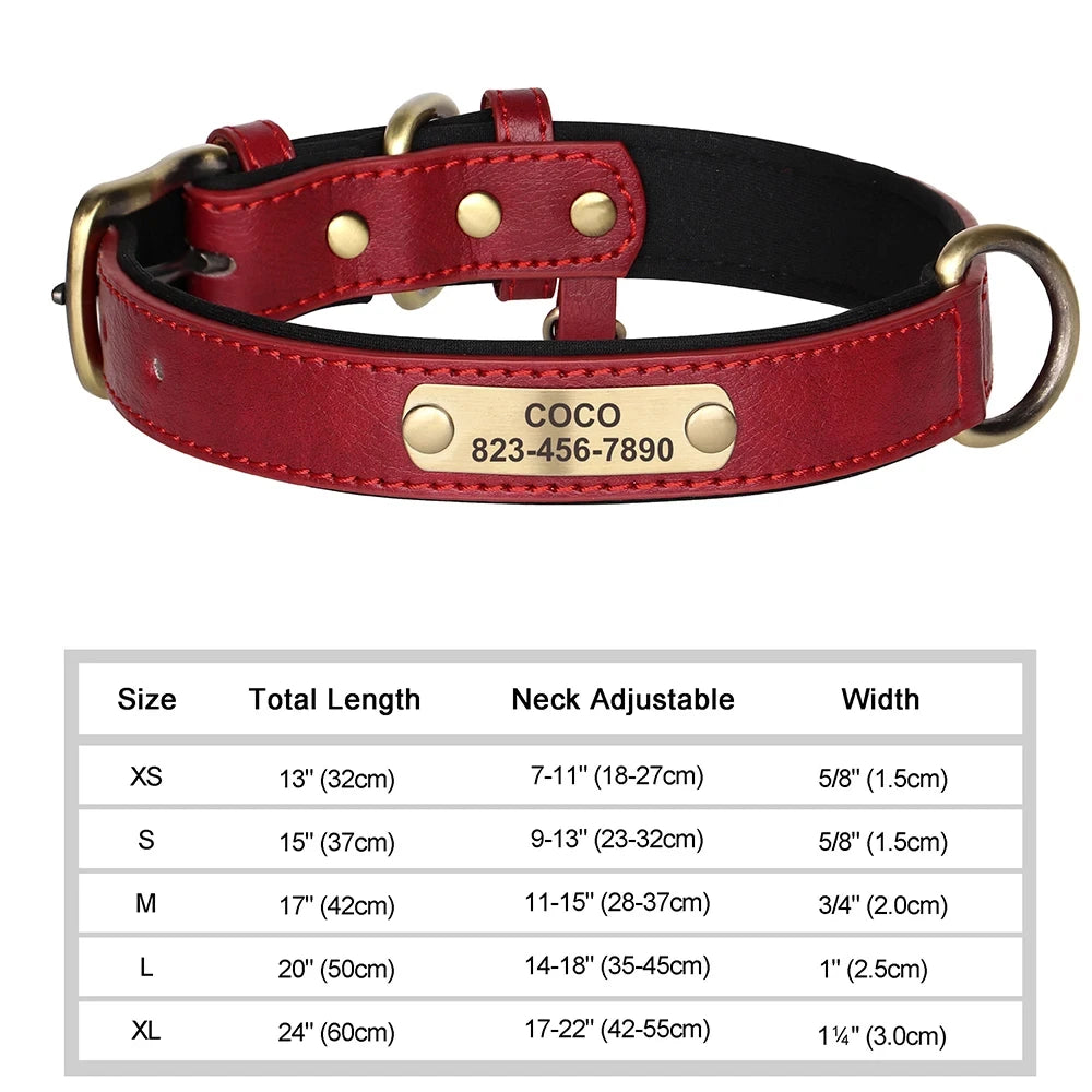 Personalized Leather Dog Collar – Soft Padded ID Nameplate with Free Engraving for Small, Medium & Large Dogs