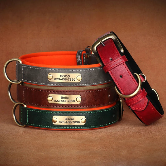 Personalized Leather Dog Collar – Soft Padded ID Nameplate with Free Engraving for Small, Medium & Large Dogs