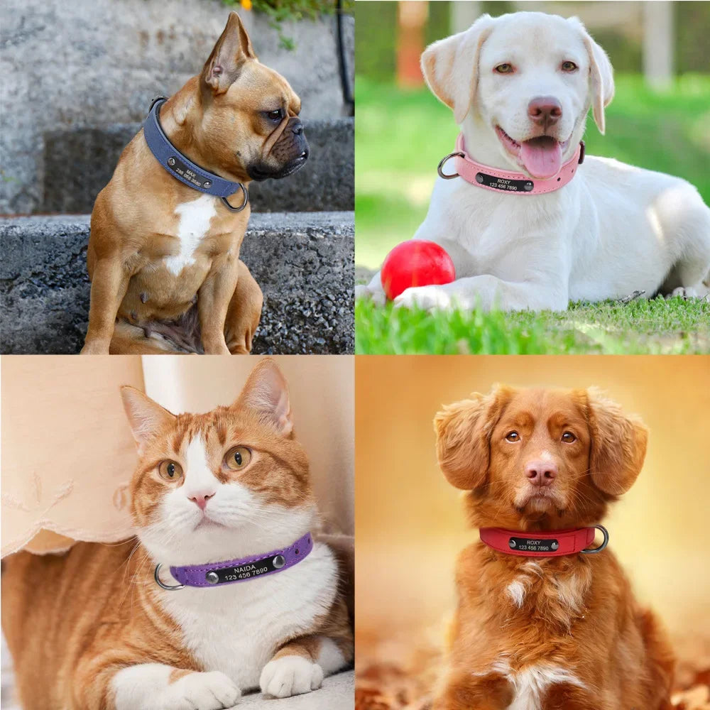 Personalized Leather Dog Collar – Soft Padded ID Nameplate with Free Engraving for Small, Medium & Large Dogs