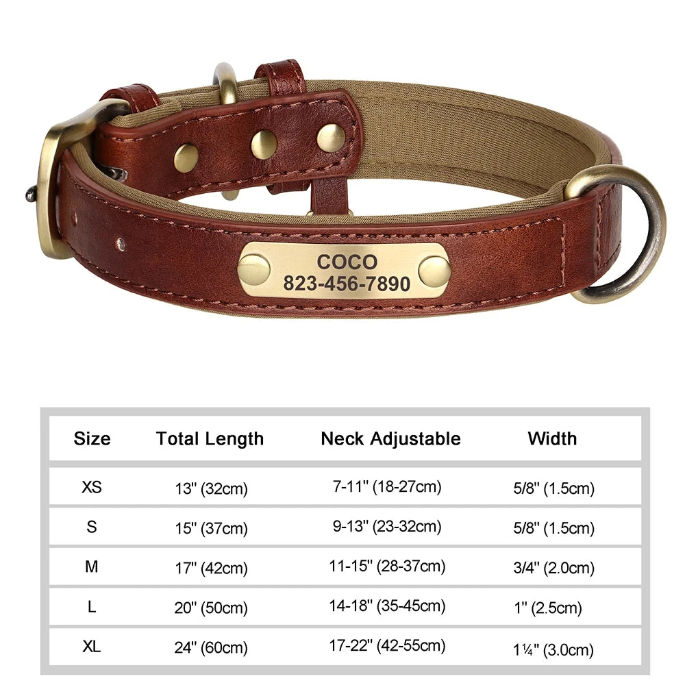 Personalized Leather Dog Collar – Soft Padded ID Nameplate with Free Engraving for Small, Medium & Large Dogs