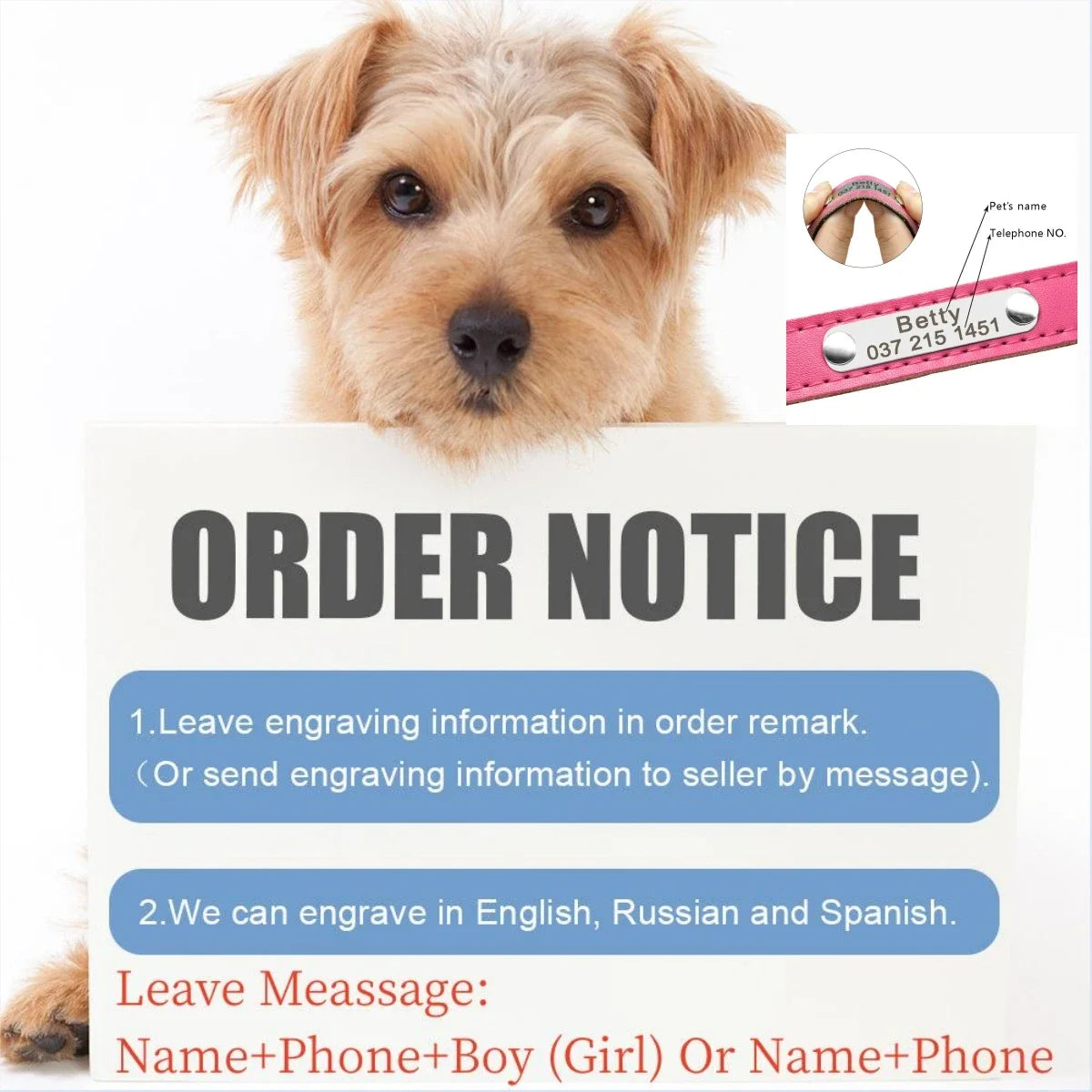 Personalized Leather Dog Collar – Soft Padded ID Nameplate with Free Engraving for Small, Medium & Large Dogs