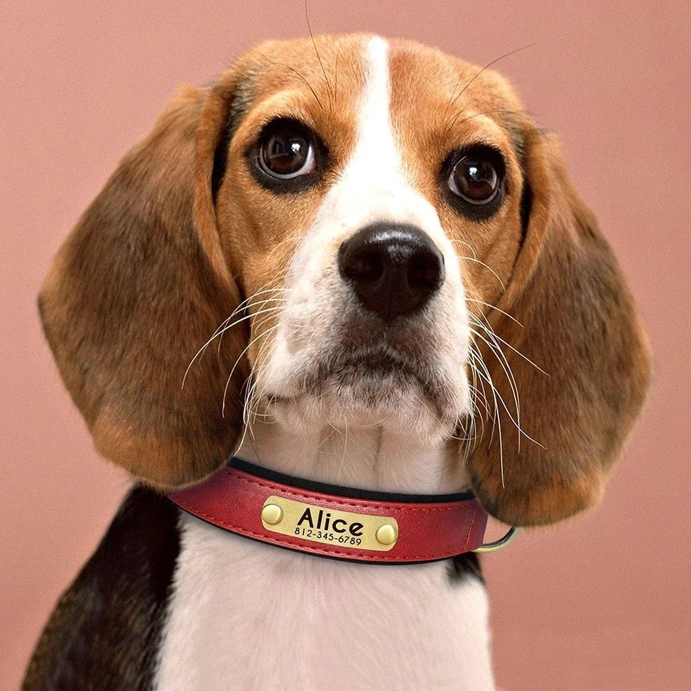 Personalized Leather Dog Collar – Soft Padded ID Nameplate with Free Engraving for Small, Medium & Large Dogs