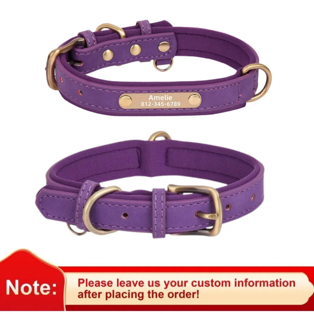 Personalized Leather Dog Collar – Soft Padded ID Nameplate with Free Engraving for Small, Medium & Large Dogs