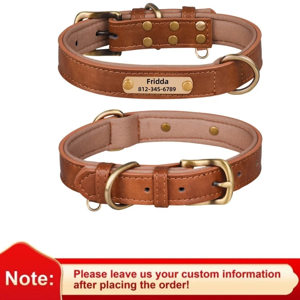 Personalized Leather Dog Collar – Soft Padded ID Nameplate with Free Engraving for Small, Medium & Large Dogs