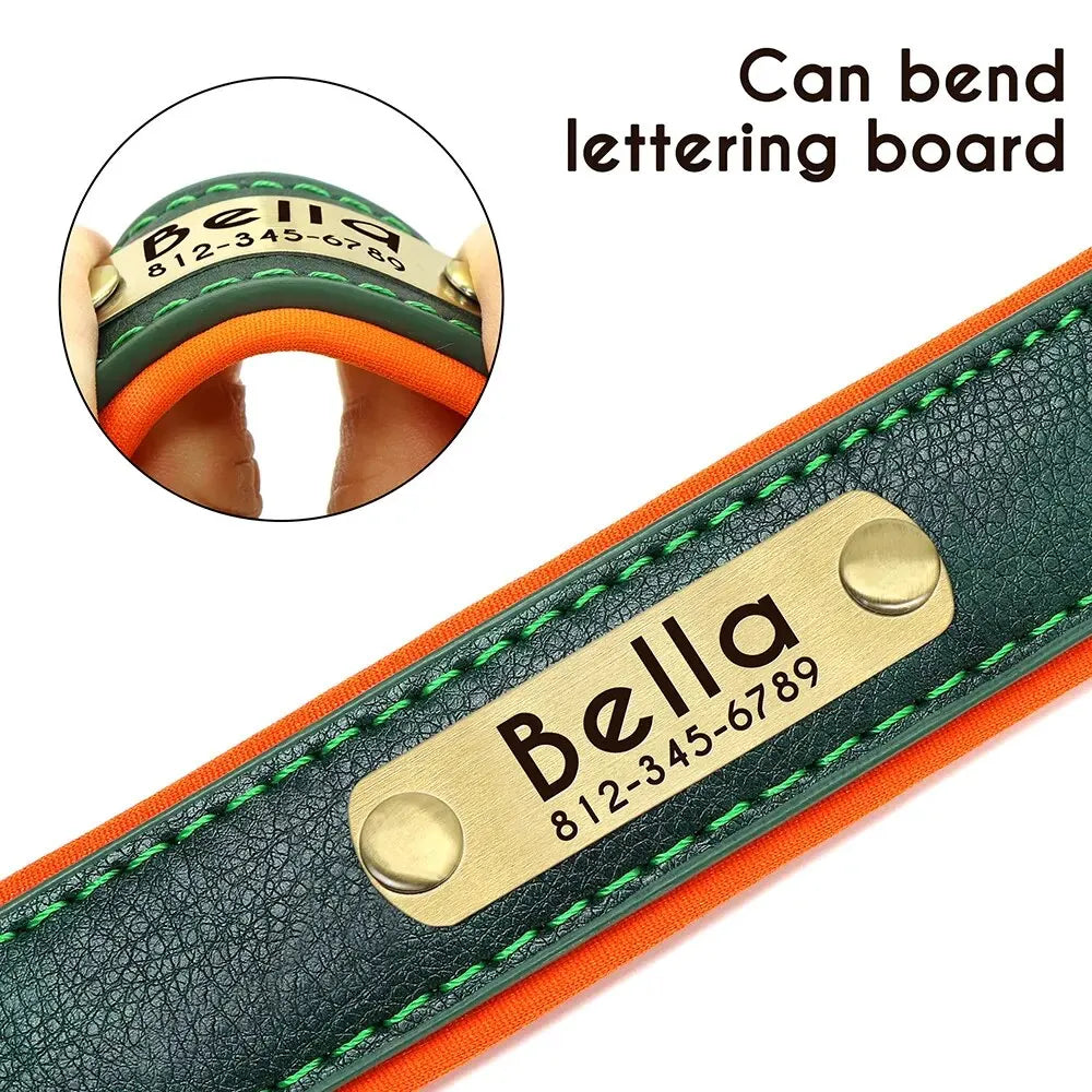 Personalized Leather Dog Collar – Soft Padded ID Nameplate with Free Engraving for Small, Medium & Large Dogs