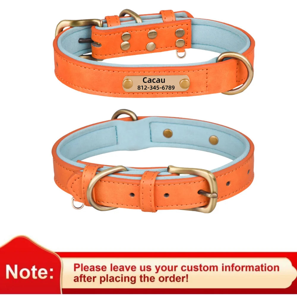 Personalized Leather Dog Collar – Soft Padded ID Nameplate with Free Engraving for Small, Medium & Large Dogs