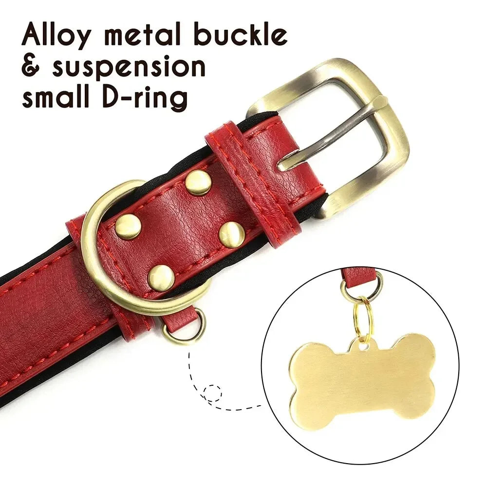 Personalized Leather Dog Collar – Soft Padded ID Nameplate with Free Engraving for Small, Medium & Large Dogs