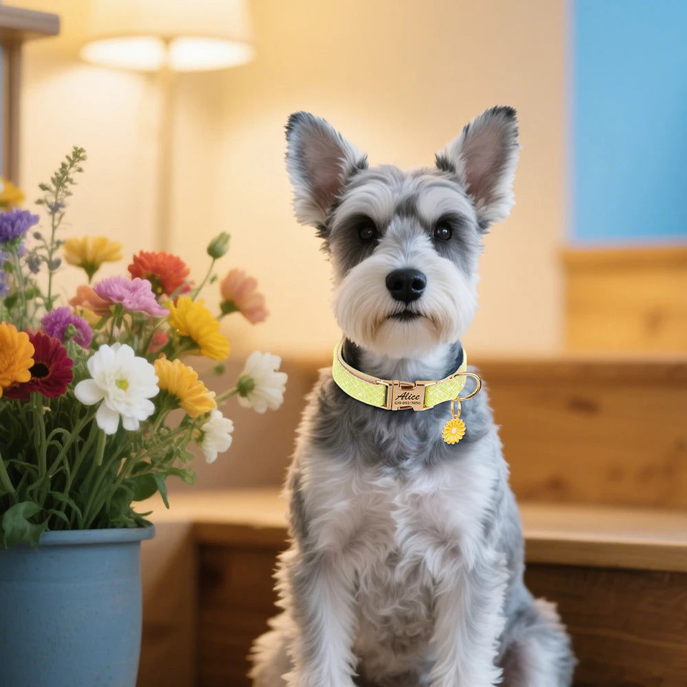Custom Bling Nylon Dog Collar – Engraved ID Name Tag with Cute Flower Accessory for Small to Medium Dogs & Cats